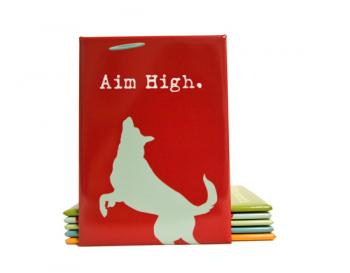 Image of Magnet: Aim High